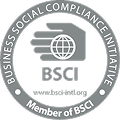 BSCI